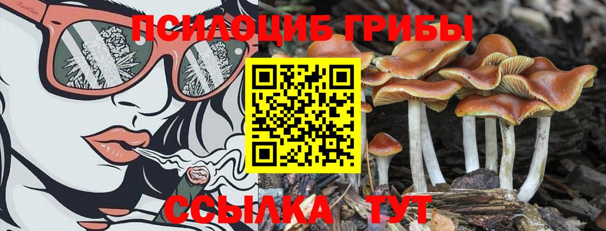 Галлюциногенные грибы Magic Shrooms  Вход с VPN  Новодвинск 