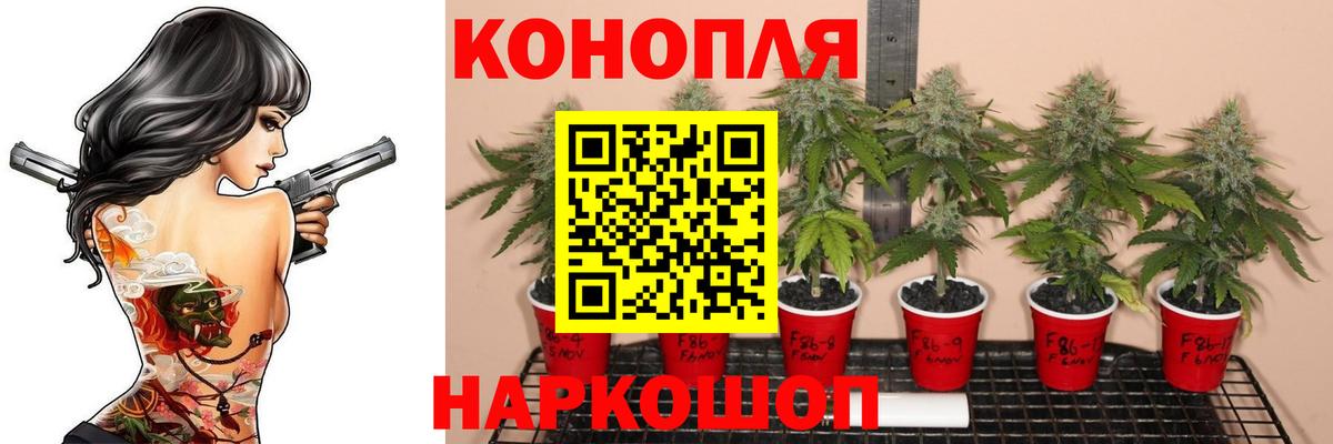 Бошки марихуана тримм Новодвинск